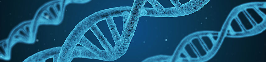 DNA-Strang, blau eingefärbt.