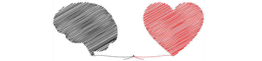 Gehirn und Herz als grobe Zeichnung in Schwarz und Rot